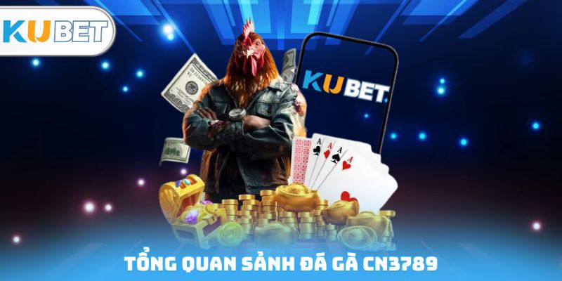 Tổng quan sảnh đá gà CN3789